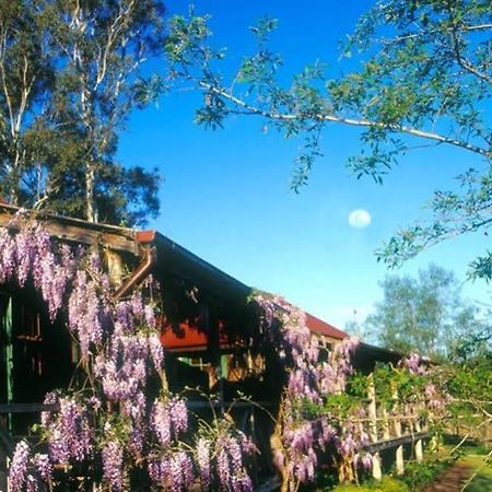 Cedar Creek Cottages Millfield Exteriör bild