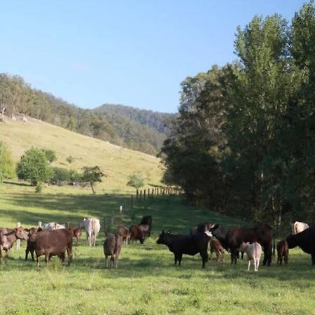 Cedar Creek Cottages Millfield Exteriör bild