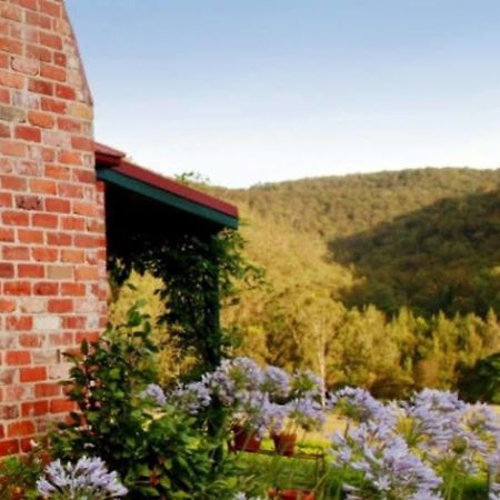 Cedar Creek Cottages Millfield Exteriör bild