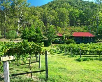 Cedar Creek Cottages Millfield Exteriör bild